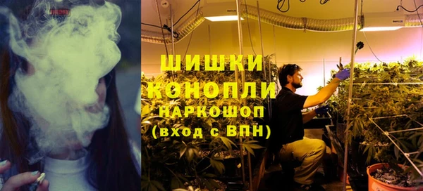 хмурый Губаха