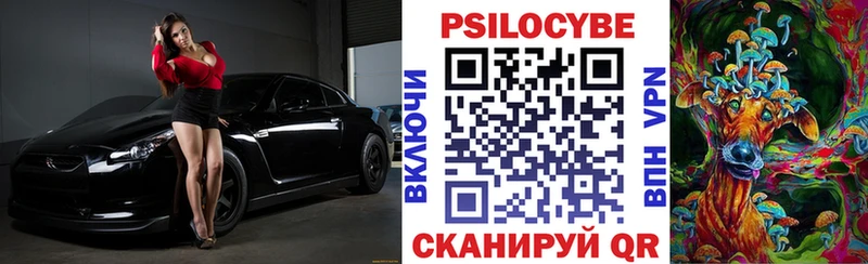 Псилоцибиновые грибы Psilocybine cubensis Апшеронск