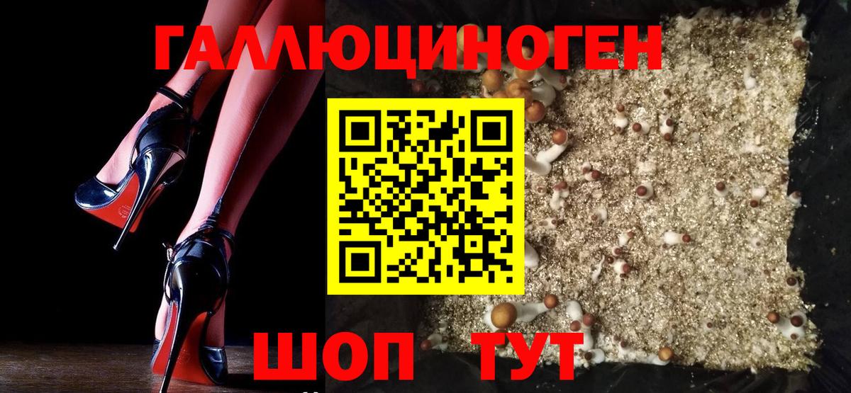 Апшеронск  купить закладку  Вход с VPN  Псилоцибиновые грибы MAGIC MUSHROOMS 