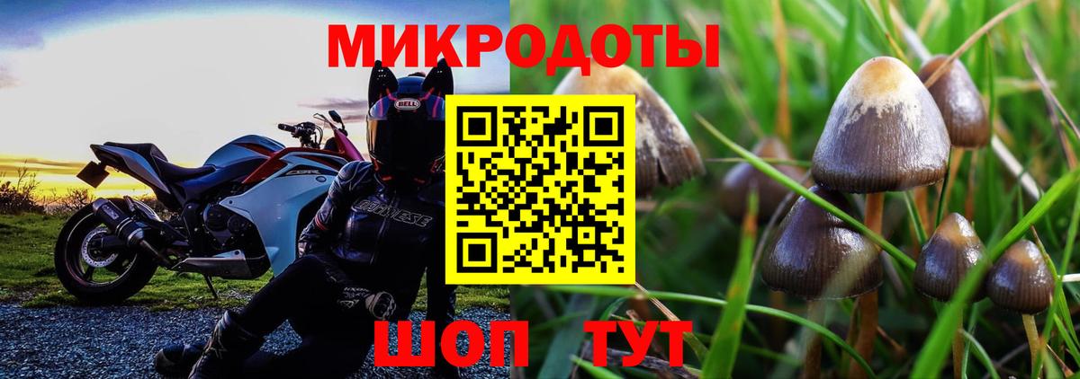 Галлюциногенные грибы GOLDEN TEACHER Апшеронск