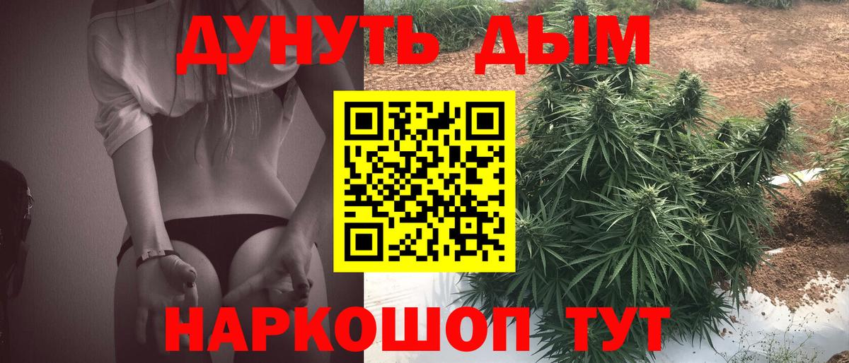 Бошки марихуана план  Вход с VPN  Конопля индика  Апшеронск  Конопля White Widow  Каннабис Bruce Banner 